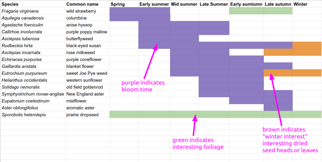 Pollinator garden successional bloom planting chart