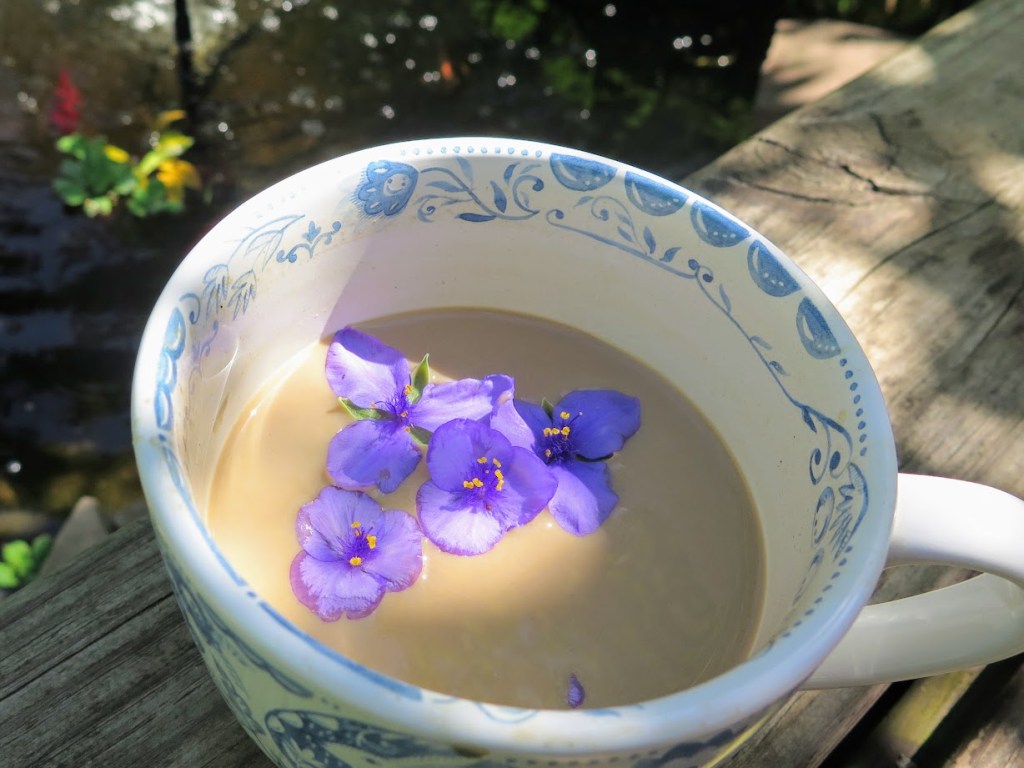 Ohio spiderwort flowers in coffee!